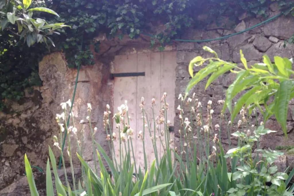 Lovely Loft Studio W Patio & Garden Abbazia